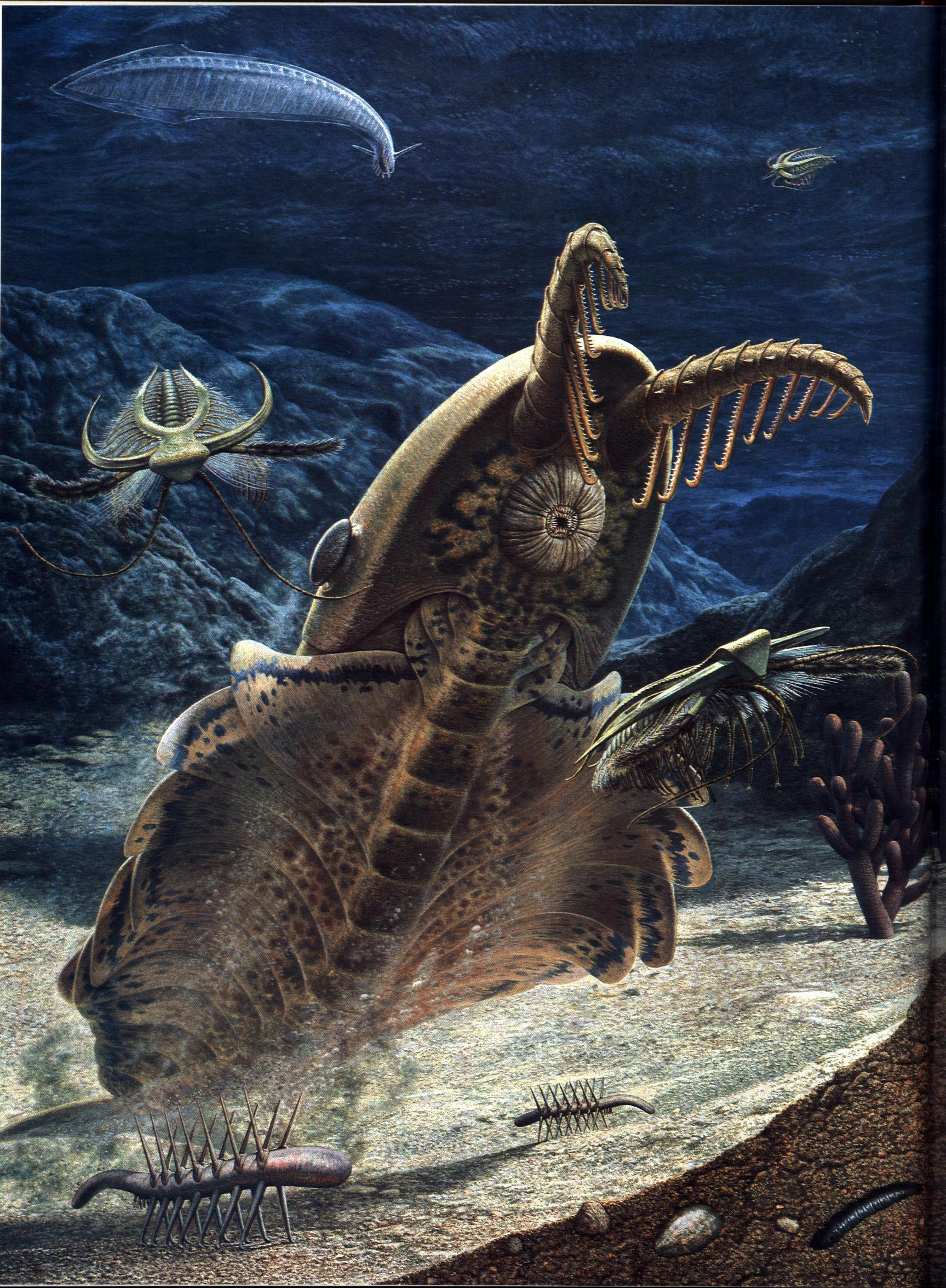 PREHISTORIC LIFE: the rise of the vertebrates. macm8538e